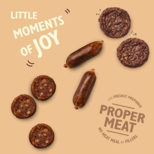 pets advent calendar 2021 lily kitchen dog 1