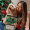 Pooch & Mutt Advent calendar 2025 Filled with smoky, succulent gourmet treats for dog
