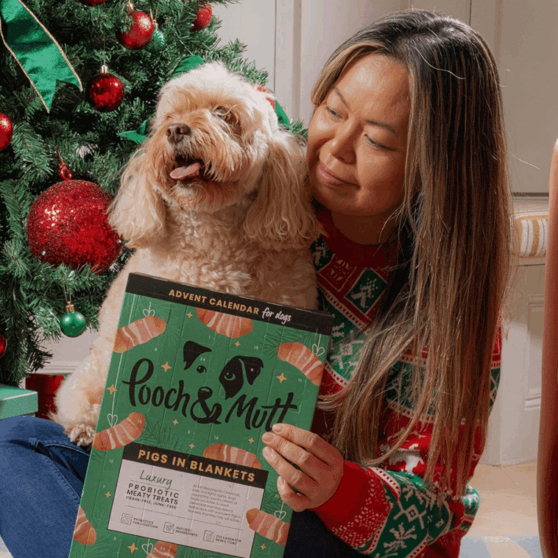 Pooch & Mutt Advent calendar 2025 Filled with smoky, succulent gourmet treats for dog