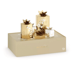 Rituals Premium Advent Calendar 2025 with 5 luxury beauty gifts—fragrance sticks, hand wash, candle, home perfume, and car air freshener, ideal for elegant gift-givers.