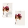 Dr Hauschka advent calendar 2026 front and back of the bliss box