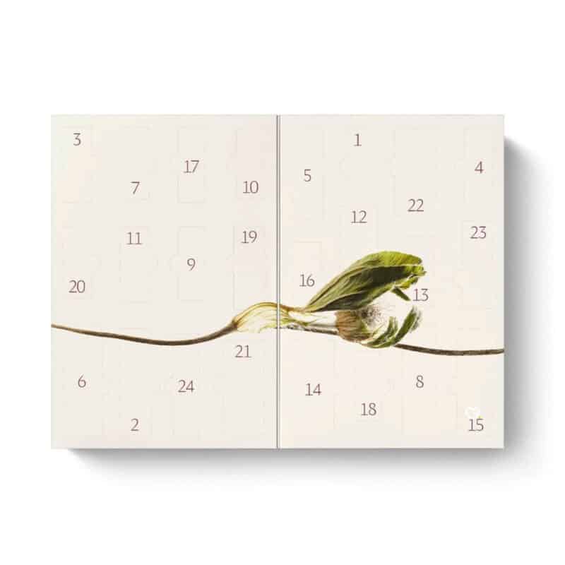Dr Hauschka advent calendar 2026 open with its 24 numbered doors